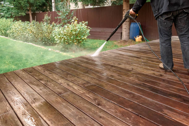Best Roof Cleaning and Mildew Removal in Fall River, WI